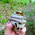 Appartamento Chez Petit Gust Welkom In En Ardenne La-Roche-en-Ardenne