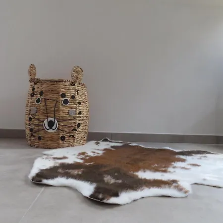 Chez Petit Gust Welkom In En Ardenne 아파트