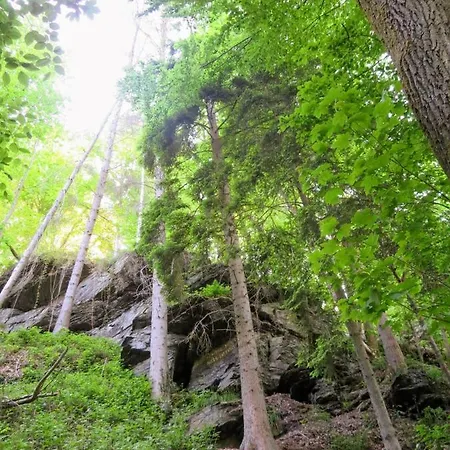 아파트 Chez Petit Gust Welkom In En Ardenne *