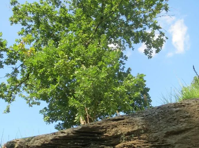 Chez Petit Gust Welkom In En Ardenne Διαμέρισμα *