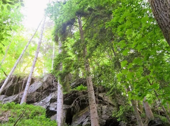 Διαμέρισμα Chez Petit Gust Welkom In En Ardenne *